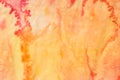 Orange watercolor painted background texture Royalty Free Stock Photo