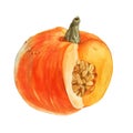 Orange watercolor pumpkin Royalty Free Stock Photo