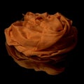 Orange wavy silk drapery shawl