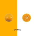 Orange on the white background. Royalty Free Stock Photo