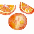 Orange on a white background drawing watercolor