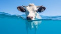 Youthful Energy: A Cow Swimming Underwater In Light Blue Waters