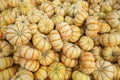 Orange and white gourds