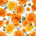 Luxurious Orange Flowers On White Background: Organic Material With Textured Shading