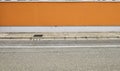 Orange and white plaster surrounding wall with sidewalk and road in front.