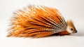 Orange And White Porcupine In Kinetic Art Style On White Background