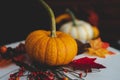 A pumpkin on a table with colorful fall foliage against a brown wooden background.