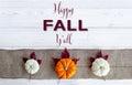 Happy Fall Y`all Orange and white pumpkins on burlap with white wood background