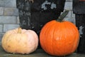 Orange and white pumpkins Royalty Free Stock Photo