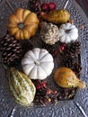 Small pumpkins and gourds of various colors, displayed on platters from various angles and depth Royalty Free Stock Photo