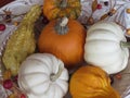 Small pumpkins and gourds of various colors, displayed on platters from various angles and depth Royalty Free Stock Photo