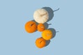 Orange and white pumpkins illuminated by the sunlight against pastel blue background. Bright thanksgiving autumn minimal