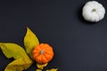 Orange and white pumpkins with yellow leaves on a chalkboard black background with room for a message and copy space Royalty Free Stock Photo