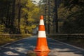 Orange and white street cone stands in forest background, cautionary Royalty Free Stock Photo