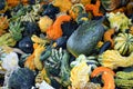 Fall Gourds Royalty Free Stock Photo