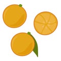 Orange whole and half, juicy citrus fruit for design