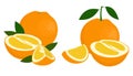 Orange whole, half and slice of orange with leaves on white background. Citrus fruit. Raster illustration of oranges on Royalty Free Stock Photo