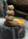 Orange wild flower with zen rock on flowing water