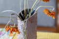 .orange withered flower bouquet Royalty Free Stock Photo