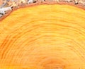 Orange wood