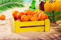 Orange wood box and lemonade bottles in summer sunny time on beach of ocean with palm leaves Royalty Free Stock Photo