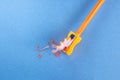 Orange wooden pencil with shavings in a stationery sharpener on a blue background. Royalty Free Stock Photo
