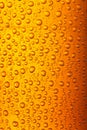 Orange yellow beer droplets Royalty Free Stock Photo