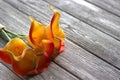 Orange yellow calla lilies bouquet on gray wooden background Royalty Free Stock Photo