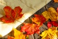 Orange and yellow dead maple leaves on a dark wooden table with a white knitted sweater. Fall foliage season. Royalty Free Stock Photo