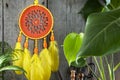 Orange yellow dream catcher on gray Royalty Free Stock Photo