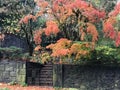 Colorful autumn foliage over a stone wall, iron gate and stairs, Portland, Oregon