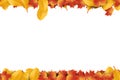 Orange and Yellow Fall Leaves Border Frame