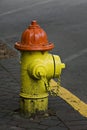 Orange and yellow fire hydrant