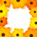 Orange and yellow flowers frame Royalty Free Stock Photo