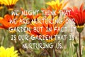 Orange and yellow gazania flowers on a blurred background with positive gardening quote Royalty Free Stock Photo