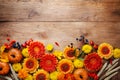 Orange and yellow gerbera flowers, decorative pumpkins, wheat ears on wooden rustic table. Autumn nature or Thanksgiving day