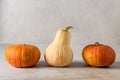 Orange and Yellow Halloween Pumpkins Gray Background Horizontal Royalty Free Stock Photo