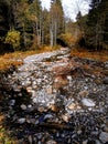 Rocky mountain stream with Autumn color
