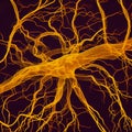 Orange, electrified neuron with tendril branches with volume