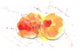 2 orange-yellow peaches with red spots and splashes of paint, watercolor and black pencil