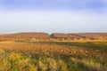 Orange-yellow plowed field against the backdrop of an autumn forest with a freeway in the middle Royalty Free Stock Photo