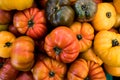 Orange, Yellow, Red, and Green Heirloom Tomatoes Royalty Free Stock Photo