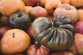 Orange, Yellow, Red, and Green Heirloom Tomatoes Royalty Free Stock Photo