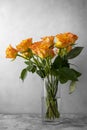 Orange yellow rose flowers bouquet in glass vase, grey background, day light. Royalty Free Stock Photo