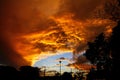 Orange or Yellow sky and clouds on new dawn day in early morning with silhouette of tree and electricity post for background Royalty Free Stock Photo