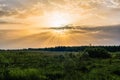orange yellow sun rays on the Golden sky at dawn or sunset in summer over the meadow Royalty Free Stock Photo