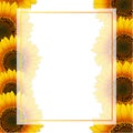 Orange Yellow Sunflower Banner Card Border isolated on White Background. Vector Illustration Royalty Free Stock Photo