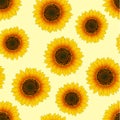 Orange Yellow Sunflower Seamless on Beige Ivory Background. Vector Illustration Royalty Free Stock Photo