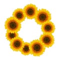 Orange Yellow Sunflower Wreath isolated on White Background. Vector Illustration. Royalty Free Stock Photo