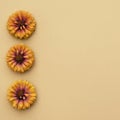 orange zinnia flower blooms on tan background